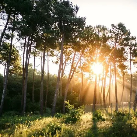 La Pinede, Les Mathes, 5 Etoiles,cottage Mobilhome Premium Proche De La Palmyre, Charente Maritime Campingplatz *